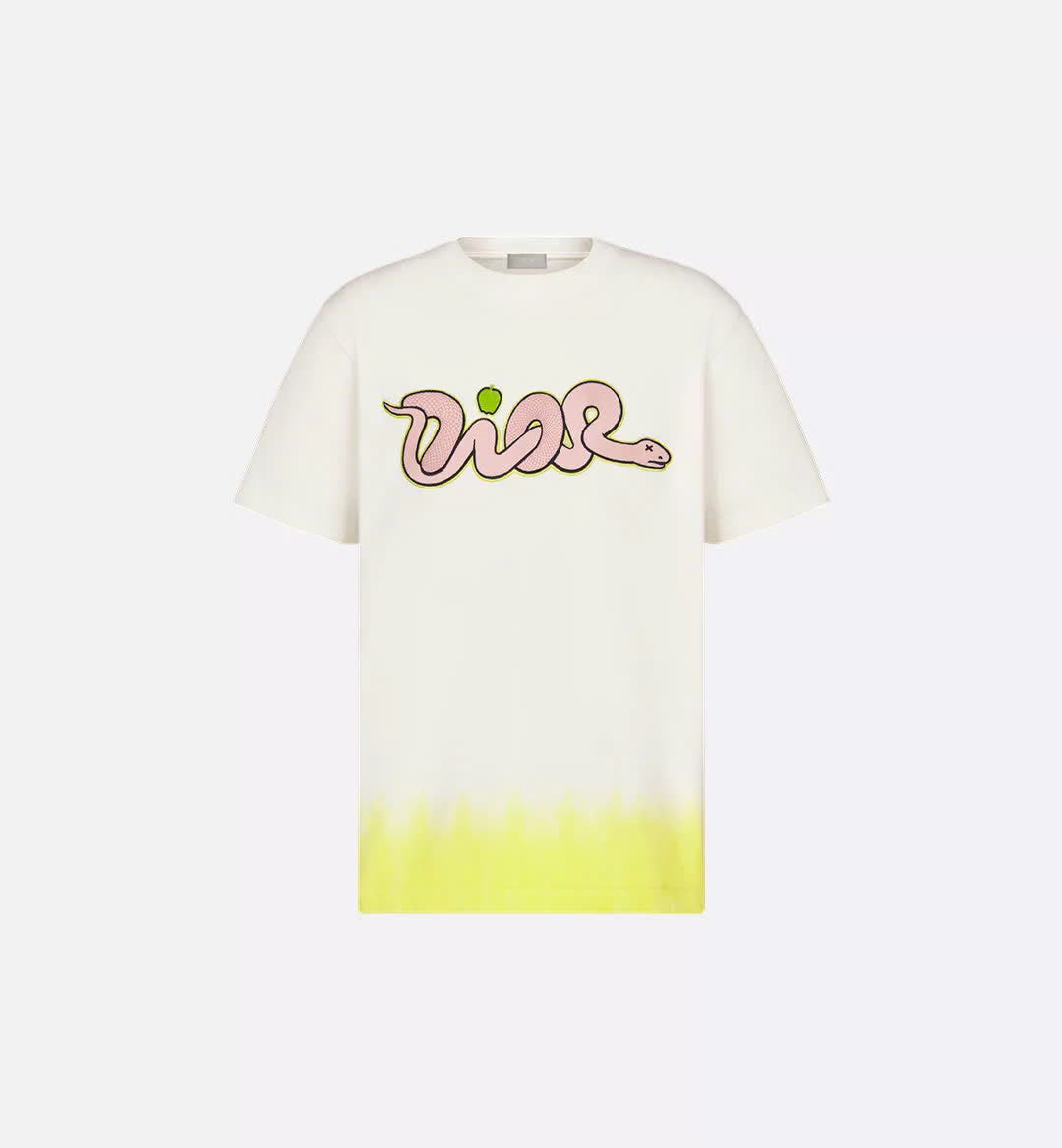 DIOR AND KAWS T-Shirt, Relaxed Fit